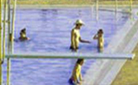 ���ڻ�ܽ�ͨ��15ƪ