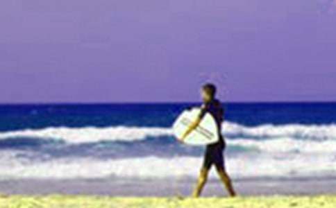 Сѧ�����ĵ�������