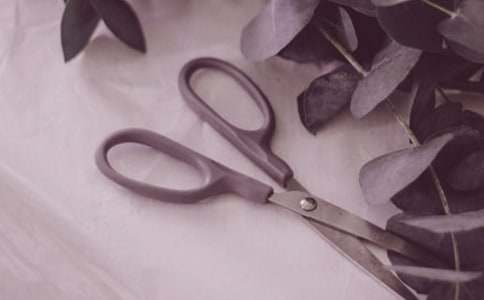 �������ְ��»����ۺ��