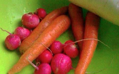 Сѧ���������������