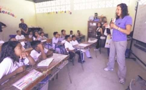 ���������Խ�ѧ�ĵ����