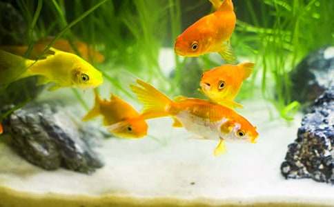 �ҵĶ������ѽ�������20ƪ