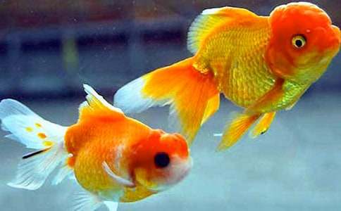 �ҵĶ������ѽ�������