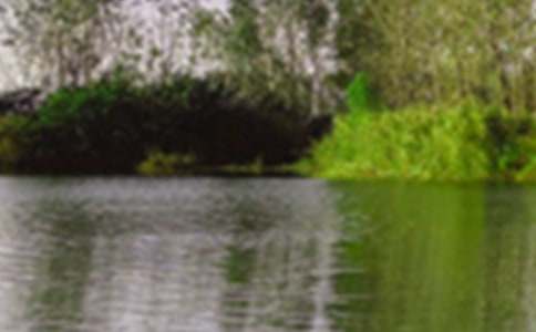 ��д�ļ���ɫ������