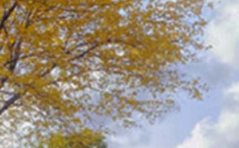 四年级景色作文精华(15篇)