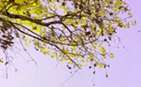 ��д��ɫ���ĺϼ���8ƪ��