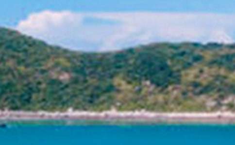 描写景色的作文8篇(优秀)