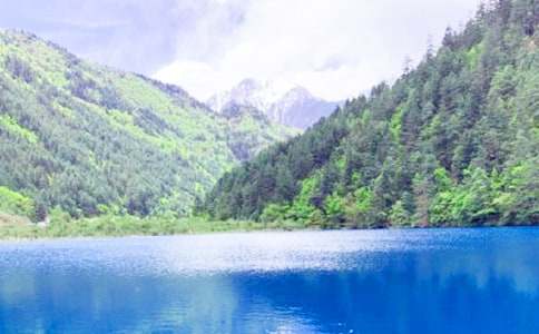 美丽的九寨沟作文汇编15篇