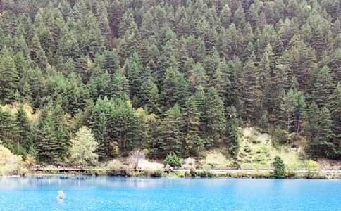 ��կ��д������