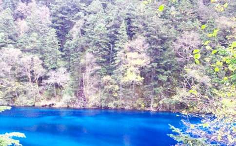 九寨沟作文优选(15篇)