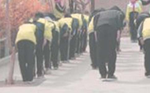 向母爱鞠躬作文