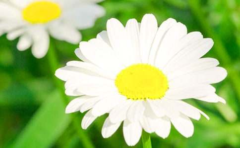 ��ϲ���Ļ��ջ����ľ�ƪ