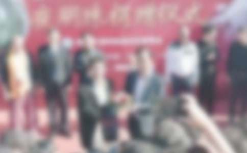 ������ʽ�쵼������