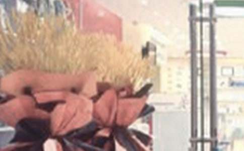 新店开业活动促销方案集合(8篇)