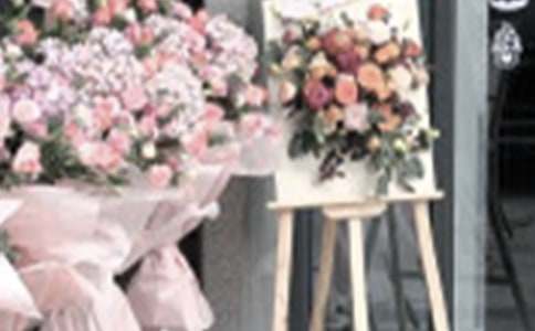 新店开业活动促销方案(集合5篇)