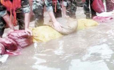 2021�����ĵ���᷶��