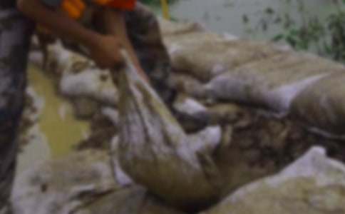 ��������ĵ����(ͨ��15ƪ)