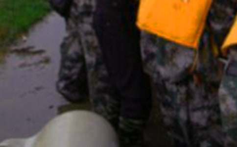 ��������ĵ����