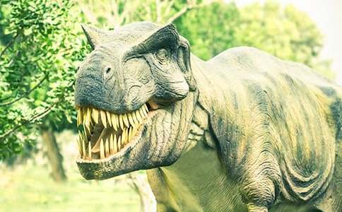 �����Ķ�ͯ˯ǰ����