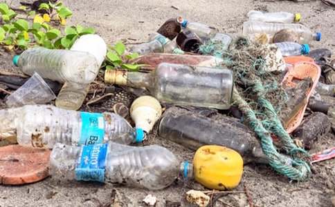 捡垃圾的老爷爷作文