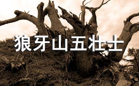 ����ɽ��׳ʿ�ۺ��