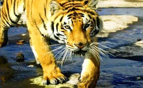 �ڹ���ϻ���˯ǰ����