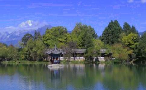 ��������������300��9ƪ