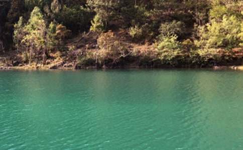 丽江古城游记作文