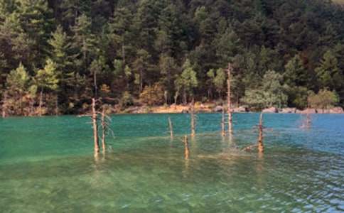 云南丽江游玩的回忆600字作文