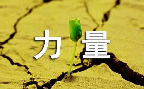 Ҷ�ӵ���������