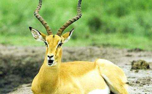 ѻ���ꡢ���������˯ǰ����