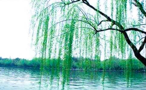 �����ļ�������