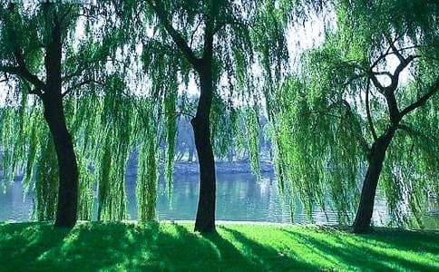 ������������600��4ƪ