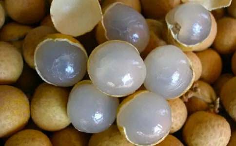 ���������ļ���15ƪ