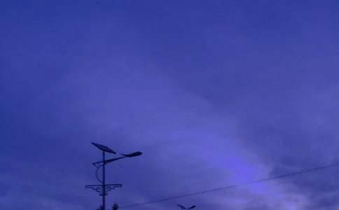 我变成了一盏路灯作文