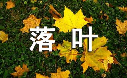 落叶二年级作文汇总6篇