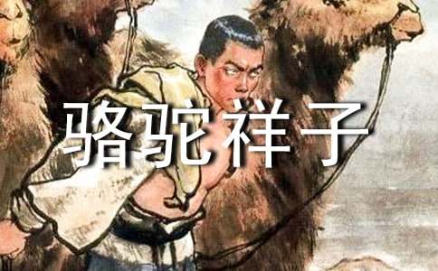 《骆驼祥子》读书笔记优秀范文