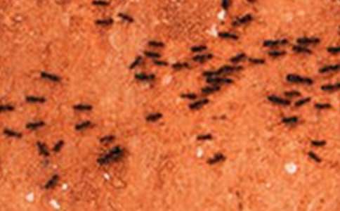 С����������˯ǰ����