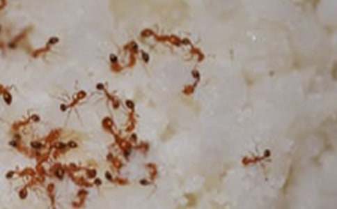 �����С����˯ǰ����