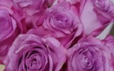 ��ѡõ������300��9ƪ