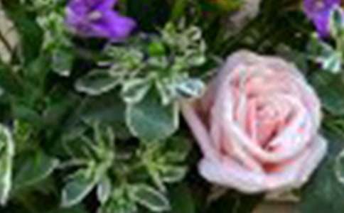 õ�廨�������꼶