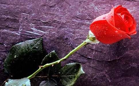 ����ѡ��õ�������300�ֺϼ�6ƪ