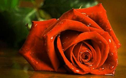 ����õ�壬������������