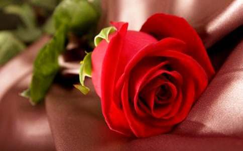 【精华】玫瑰花三年级作文合集9篇