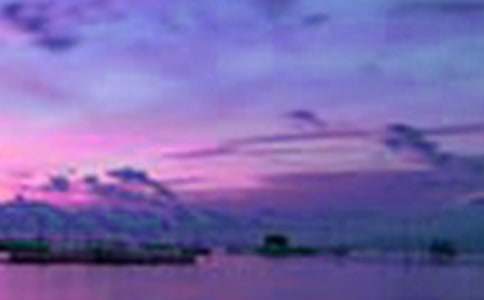 三年级美景作文