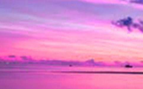 ��������������꼶