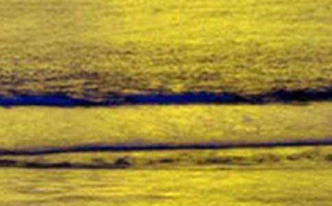 ����ѡ������ѩ����300��4ƪ