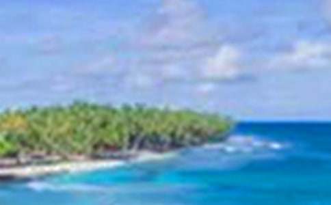 �������д������(11ƪ)