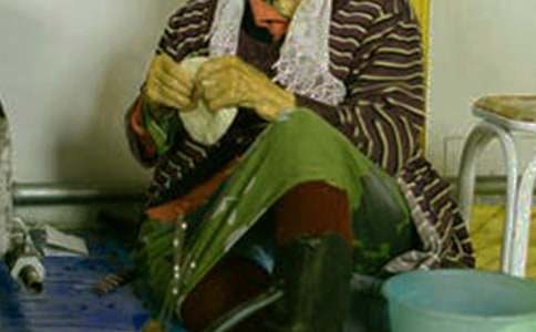 介绍蒙古族的作文500字