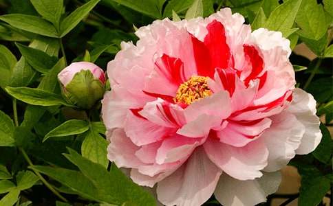 ĵ�������꼶����